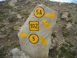 ma il 102 dove va?