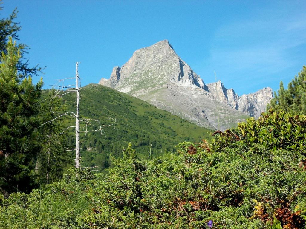 Il Pelvo ,salendo al Colle della Bicocca