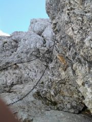 Ultime catene, immediatamente sotto la cima