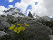 Natura pioniera, verso il Ciarforon