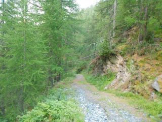 sterrata verso la cava