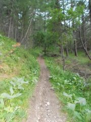 il single track dalla cava a cesana