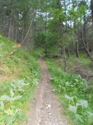 il single track dalla cava a cesana