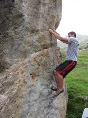 tom su pilastri della serra, 5° expo