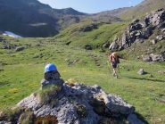 il casco trovato