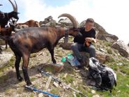 capra golosa