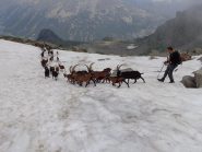 e giu' verso Ceresole