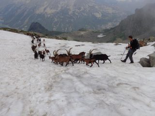 e giu' verso Ceresole
