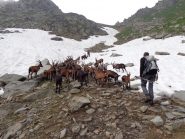 verso il colle della Terra Fertà