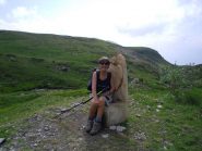 ecco una volpe ...seggiola...