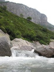 ambiente