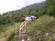 libellula