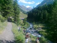 dal vallone di vallanta si gira per il passo san chiaffredo