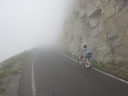 nebbia