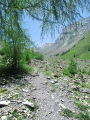 Il vallone percorso, quasi al termine del lunghissimo traverso