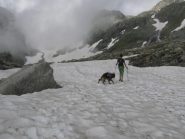 nei pressi del lago delle Monache