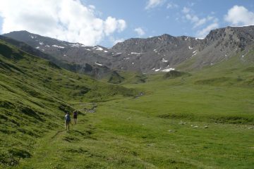 Cima in alto a sx
