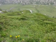 Pianoro di Riane