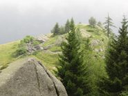 Alpe sopra il pilone