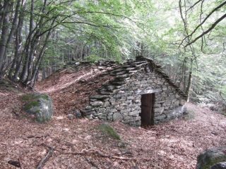Ricovero nella faggeta