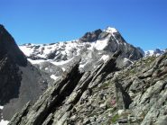 Mont Gelè