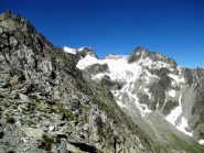 Chardoney e Cervo dal colle