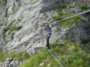 Il ponte delle scimmie o la scimmia sul ponte?