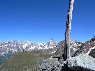 CIMA TRECARE