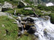 Scendendo dal Remondino...