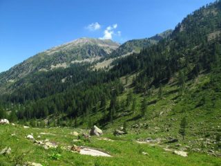 Vallone di Riofreddo
