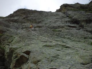 Condor vittorioso