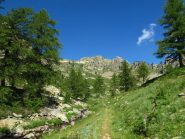 Quasi al Lago d'Aver sottano