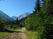 Il bel vallone di Riofreddo