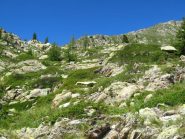 Tratto di discesa senza traccia