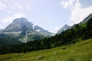 Leone, bocch. d'Aurona, Terrarossa