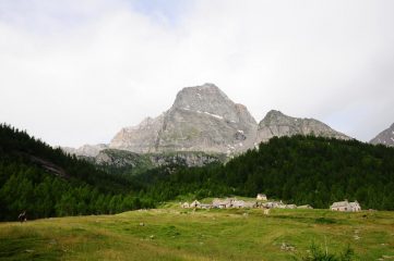 Leone e Cianciavero