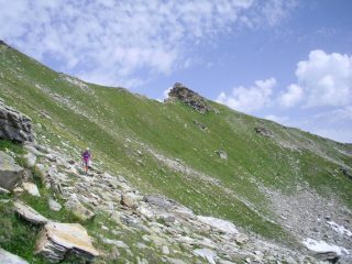 in discesa senza percorso obbligato....