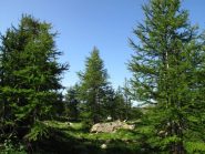 Salendo da Isola 2000