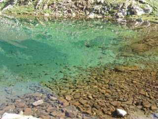 Acque cristalline del Lac Long