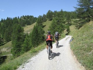 quasi al Colomion