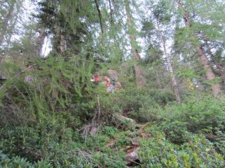 Per capire il terreno delle prime due ora a salire (ma soprattutto delle ultime due a scendere!!)