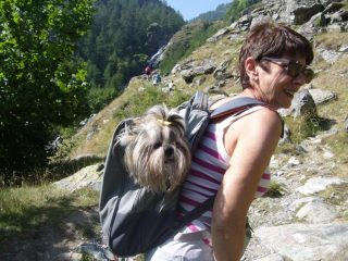 Telma e Artù verso il Jervis