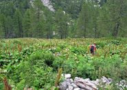 Il tratto più brutto sotto l'alpe la Balma
