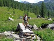 Superato il ponte si entra nel bosco