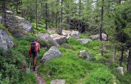 Il bel sentiero nel bosco che scende a Villa Poma