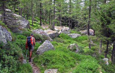 Il bel sentiero nel bosco che scende a Villa Poma
