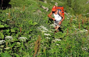 Salendo al colle della Crocetta