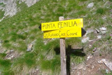 segnalita prima dei gr massi