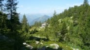 l'alpe Goullias