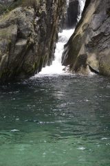 Una goia del rio lazin